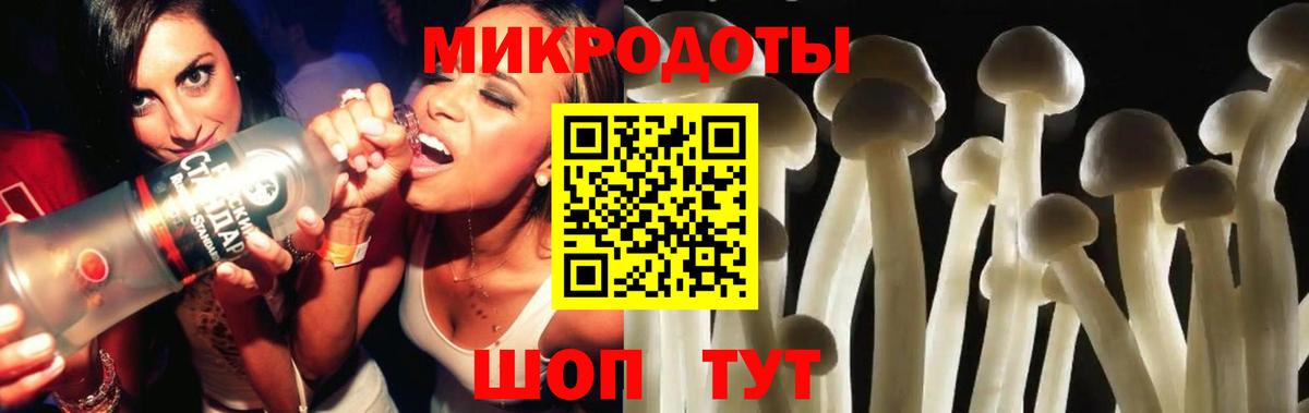 Галлюциногенные грибы GOLDEN TEACHER  Вход с VPN  дарнет шоп  Рубцовск 